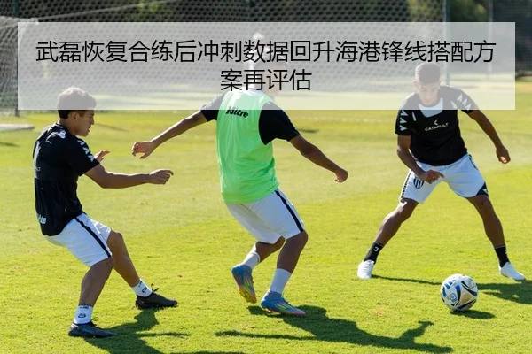 武磊恢复合练后冲刺数据回升海港锋线搭配方案再评估 | PG